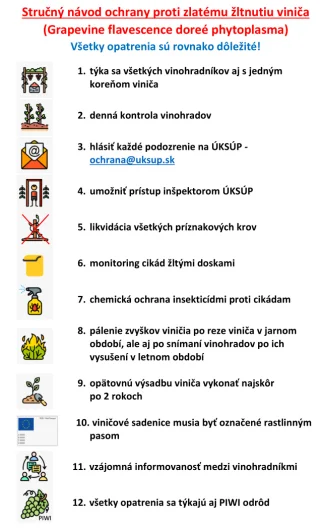 Zlaté žltnutie viniča